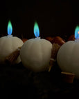 Aurora Pumpkin Bundle (3 pack) - Avauré