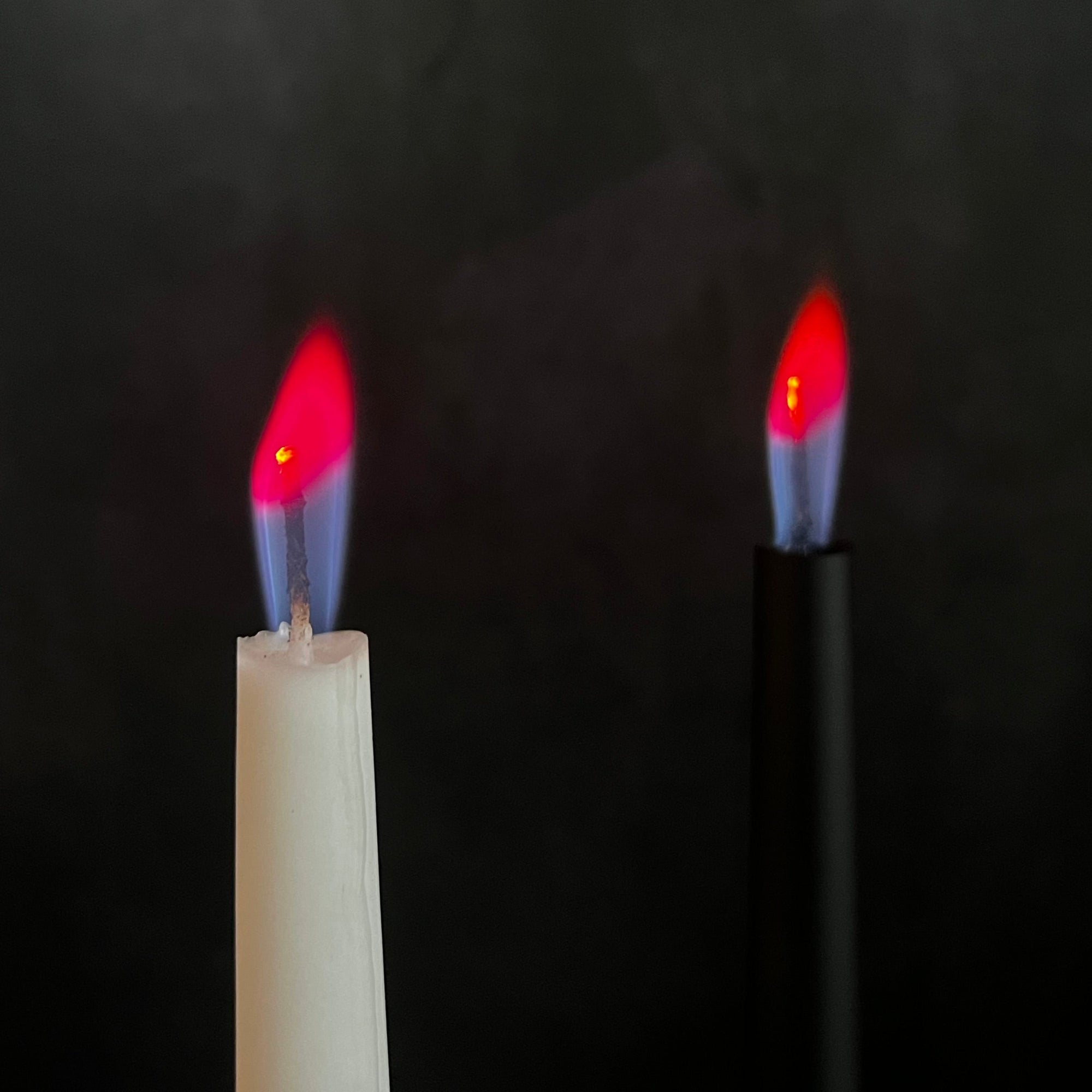 Camellia Tapers - Avauré